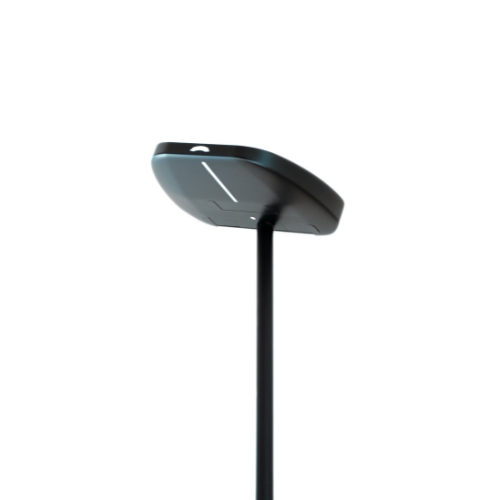 Sausage - Men's Putter