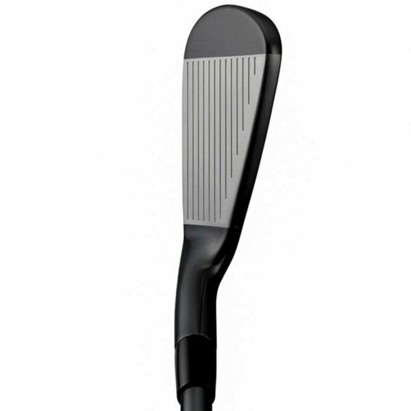 Mizuno Pro 225 Black Men's Irons